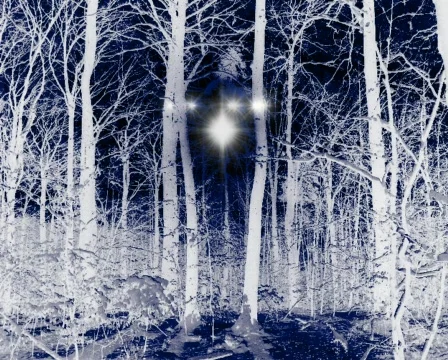 Winter landscape 動画素材 92115