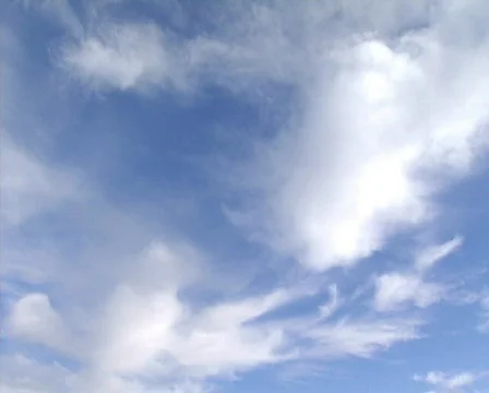 Winter Landscape Stock Footage 603320
