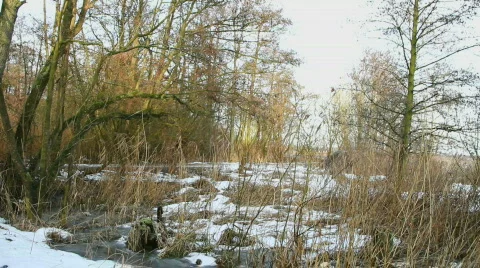 Winter landscape Stock Footage 621900