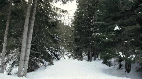 Winter landscape Stock Footage 633129