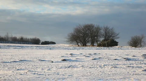 Winter landscape Stock Footage 997266
