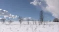 Winter landscape HD Footage