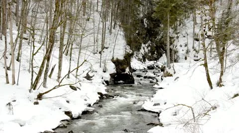 Winter landscape Vídeos de archivo 10887524