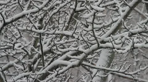 Winter landscape Stock Footage 20641907