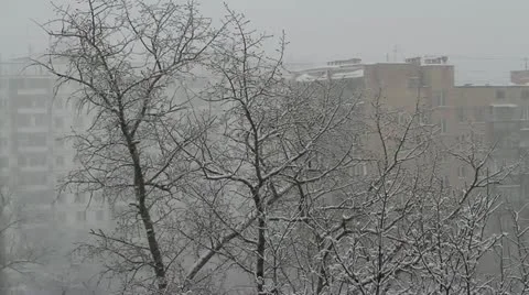 Winter landscape Stock Footage 20642171