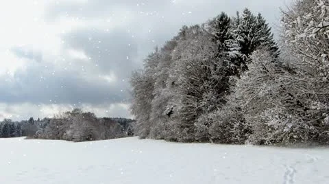 Winter landscape Stock Footage 21568405
