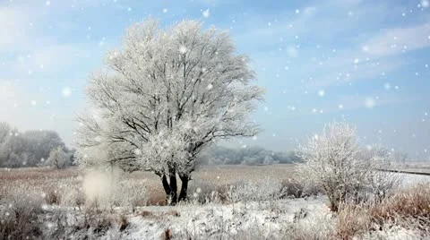 Winter landscape Stock Footage 24665848