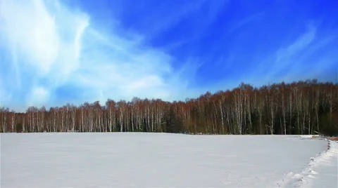 Winter landscape. Stock Footage 26983019