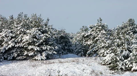 Winter landscape Stock Footage 45472231