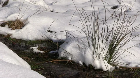 Winter landscape Видео 46914055