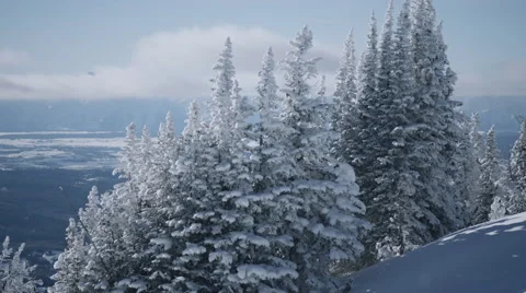 Winter Landscape 스톡 동영상 61017047