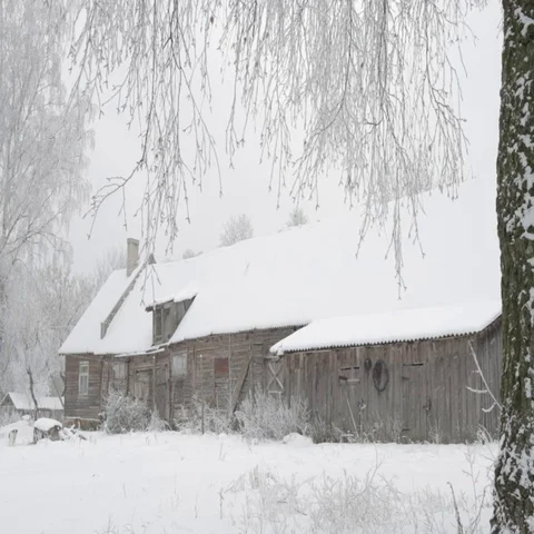 Winter landscape Stock Footage 69292162