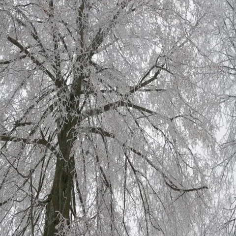 Winter landscape Stock Footage 69293778