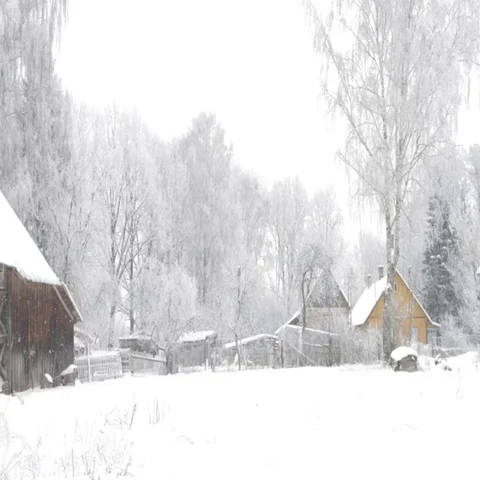 Winter landscape Stock Footage 69293800