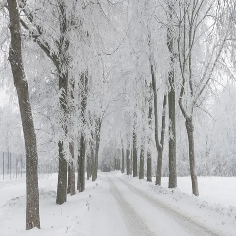 Winter landscape Stock Footage 69293830