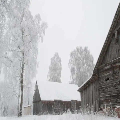 Winter landscape Stock Footage 69293857