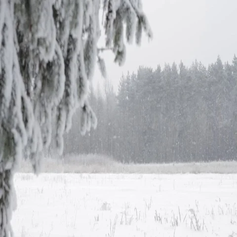 Winter landscape Stock Footage 69293899
