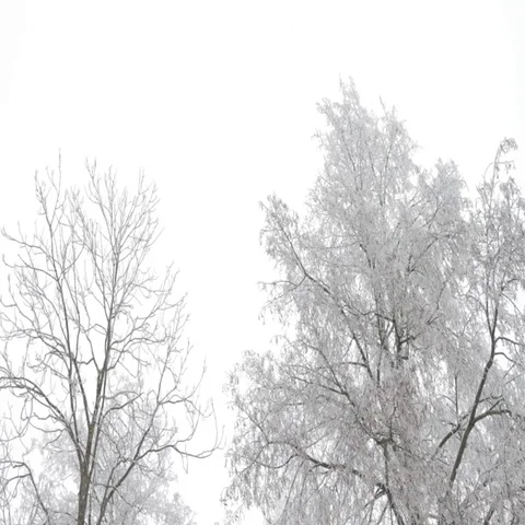 Winter landscape Stock Footage 69294171