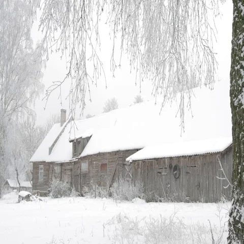Winter landscape Stock Footage 69294443