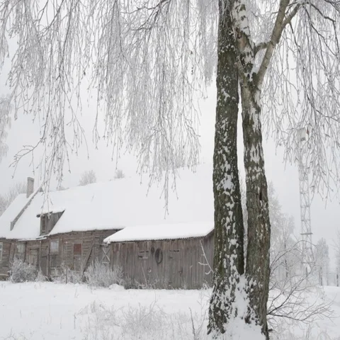 Winter landscape Stock Footage 69294492
