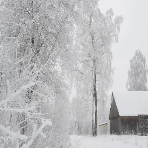 Winter landscape Stock Footage 69294494