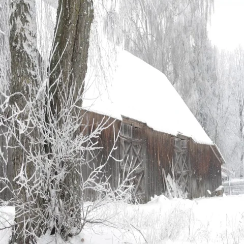 Winter landscape Stock Footage 69294609