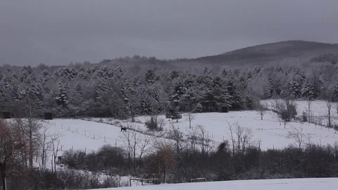 Winter Landscape Stock Footage 71151386