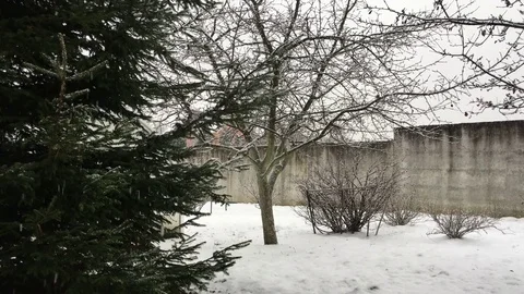 Winter landscape Stock Footage 83183360