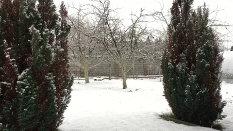 Winter landscape Stock Footage 83202705