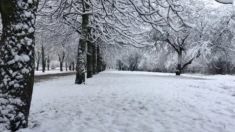 Winter landscape Stock Footage 83267013
