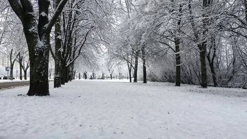 Winter landscape Stock Footage 83267062