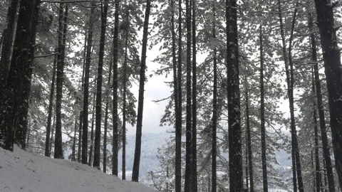 Winter landscape Stock-Footage 83323860