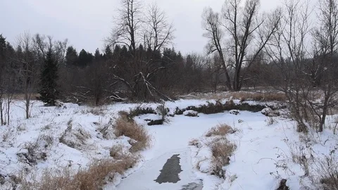 Winter landscape Stock Footage 84165881