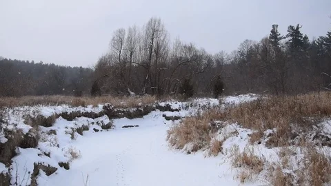 Winter landscape Stock Footage 84166208