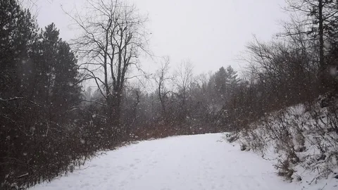 Winter landscape Stock Footage 84169441