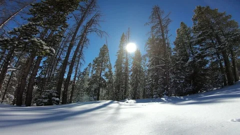 Winter landscape Stock Footage 85041945