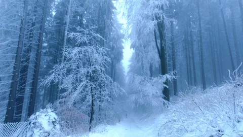 Winter landscape. Stock Footage 86242776