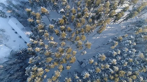 Winter Landscape Stock Footage 91621115