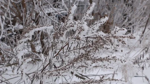 Winter landscape Video stock 100516322