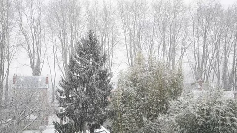 Winter landscape Stock Footage 101660371