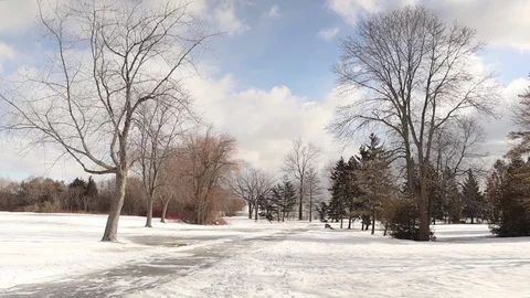 Winter landscape Stock Footage 102388509