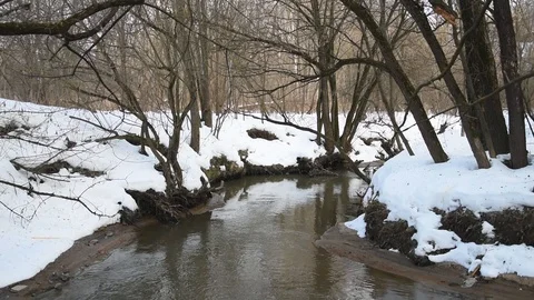 Winter landscape Stock Footage 103277861