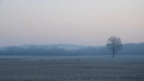 Winter landscape Stock Footage 123349947