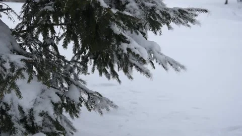 Winter landscape Stock Footage 146259449