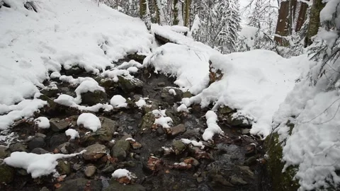 Winter landscape Stock Footage 146260179