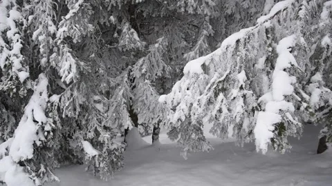 Winter landscape Stock Footage 146309466