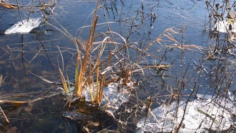 Winter landscape Stock Footage 146342844