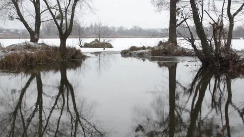 Winter landscape 스톡 동영상 146376938