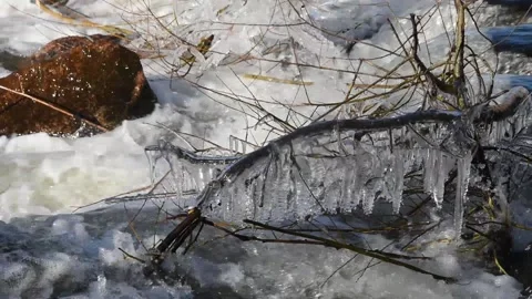 Winter landscape Stock Footage 146463158