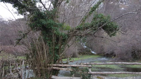 Winter landscape Vídeo Stock 147677261